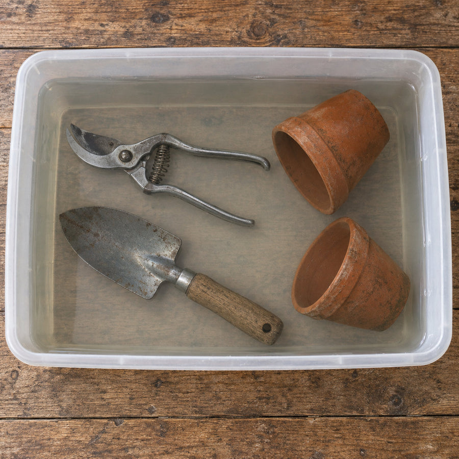 Secateurs, a hand trowel and two terracotta pots fully submerged in a shallow tub of clear solution.