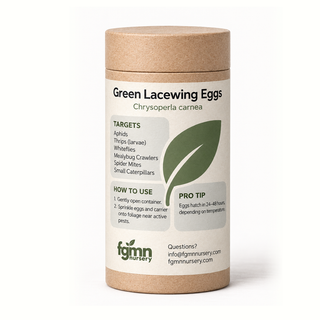 Kraft tube of FGMN green lacewing eggs, labelled for aphids, mealybugs and soft-bodied pests.