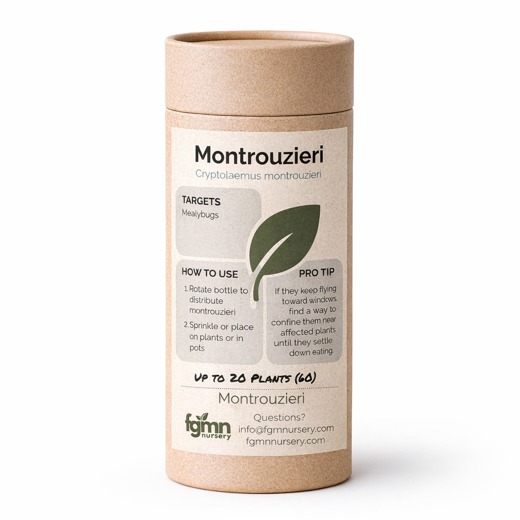 Kraft paper container of Montrouzieri pest control for mealybugs 