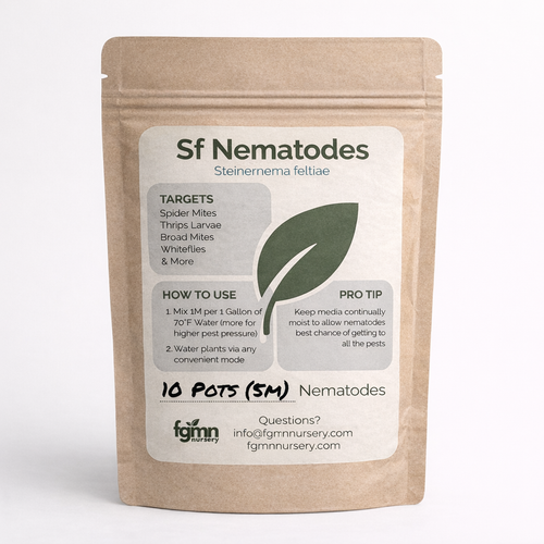 Steinernema feltiae Sf nematodes — thrips soil treatment