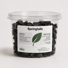 A clear plastic tub filled with dark, irregularly shaped organic moss control granules labeled 'Springtails' by fgmn nursery, on a light gray background.