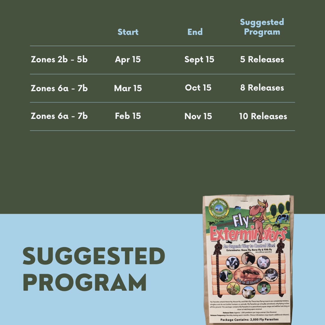 Fly Exterminators packaging and suggested program chart for effective fly control by release dates and zones.