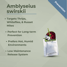 Amblyseius swirskii slow-release sachet for pest control targeting thrips, whiteflies, and mites; ideal for hot, humid environments.