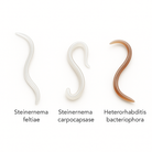 Triple Blend Nematodes illustration showing Steinernema feltiae, Steinernema carpocapsae, and Heterorhabditis bacteriophora – beneficial nematodes used in biological pest control for soil-dwelling insects such as fungus gnats, grubs, and root mealies.
